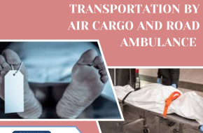 Panchmukhi Dead Body Transportation from Delhi to Patna – Taking dead bodies without dignity