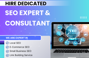 Professional SEO Expert in India | Satheesseo.com